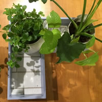 水もれ知らずの植木鉢置きボックス