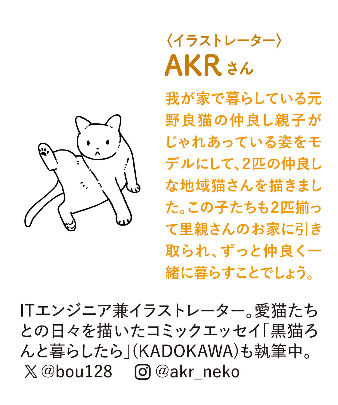 猫部|AKR&times;猫部 地域猫チャリティークリアファイルセット2026