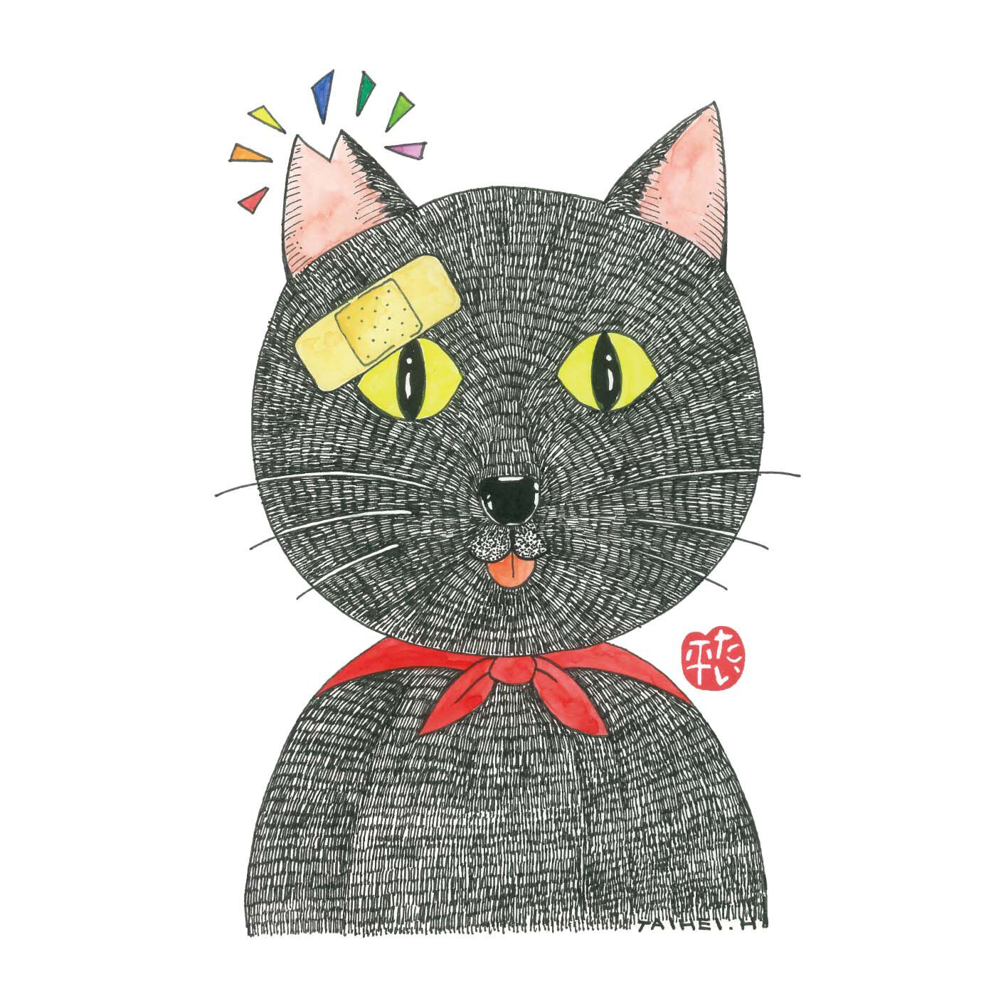 猫部|林家たい平&times;猫部　地域猫チャリティークリアファイルセット2025