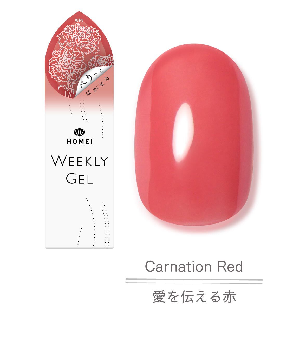 FELISSIMO PARTNERS | HOMEI ジェルネイル 「愛を伝える赤」Carnation Red 〈カーネーション　レッド〉