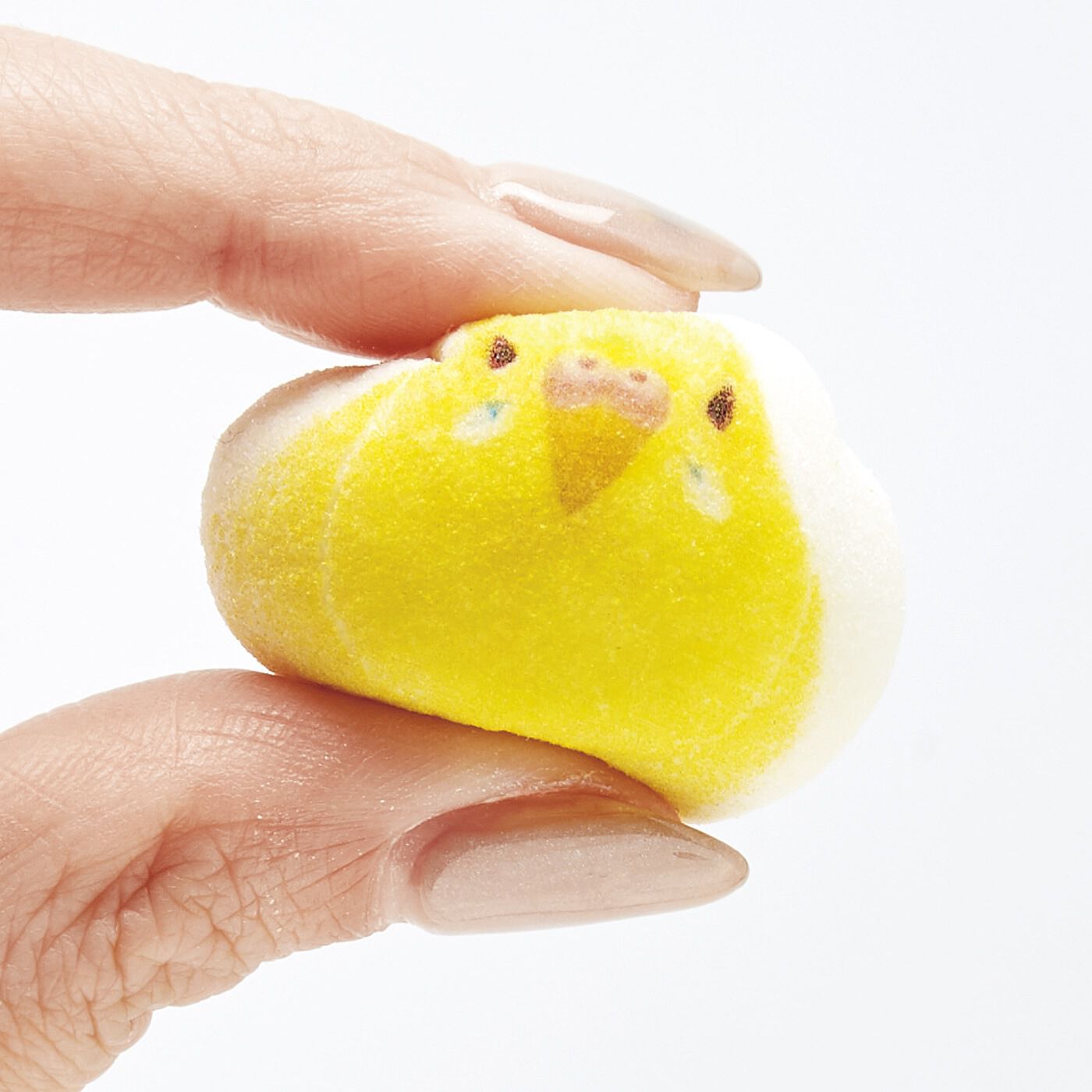 フェリシモギフトショップ|小鳥部　ちょこんと勢ぞろい ミニ和風マシュマロインコのほうずい〈チョコ餡（あん）〉|卵白を寒天で固めたぷにっとやさしい食感。