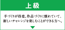 上級 手づくりが得意。作品づくりに慣れていて、新しいチャレンジを楽しむことができる方へ。