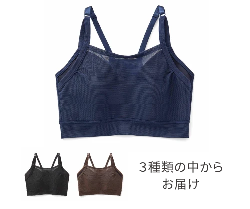 ３種類の中からお届け