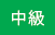 中級 中級