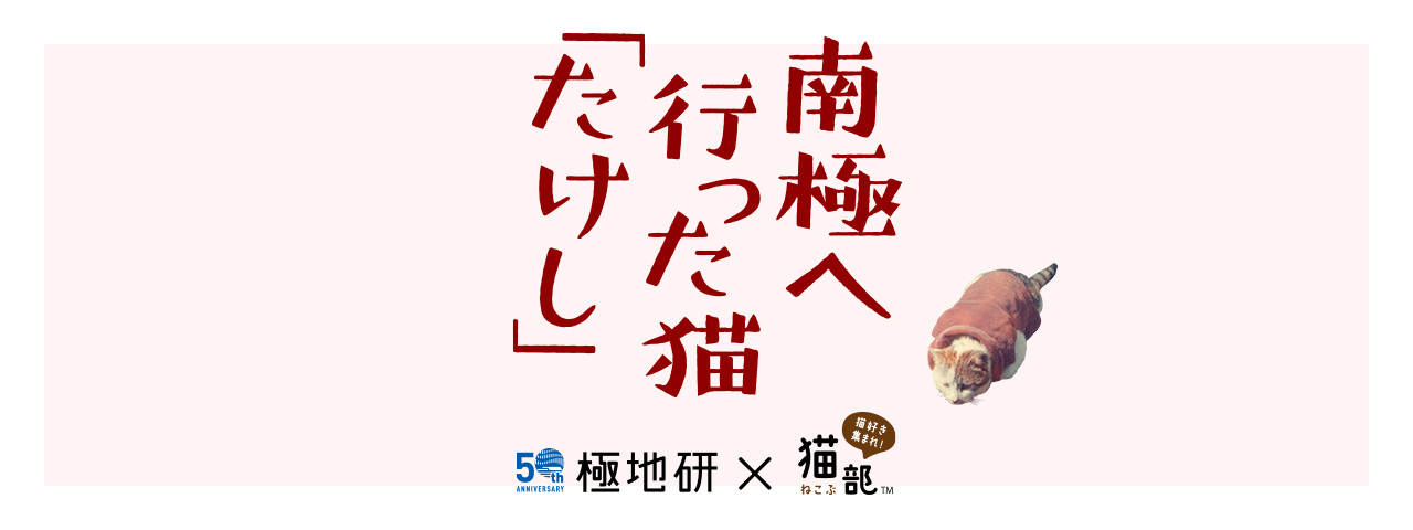 バナー画像