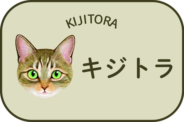キジトラ