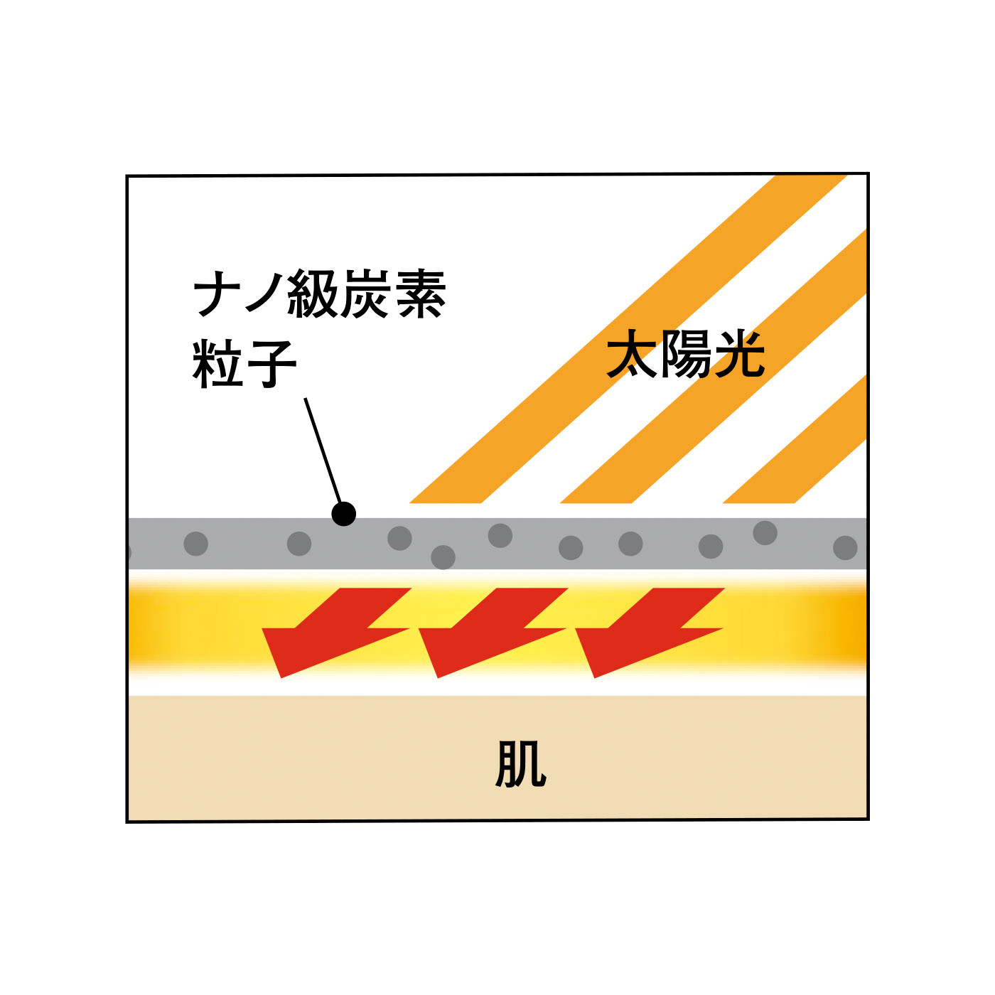 image02