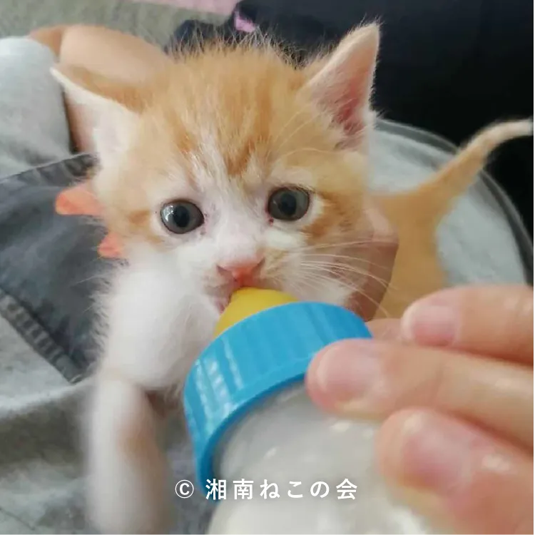 支援基金