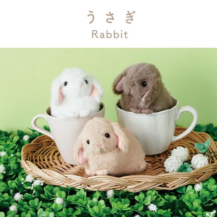 うさぎ