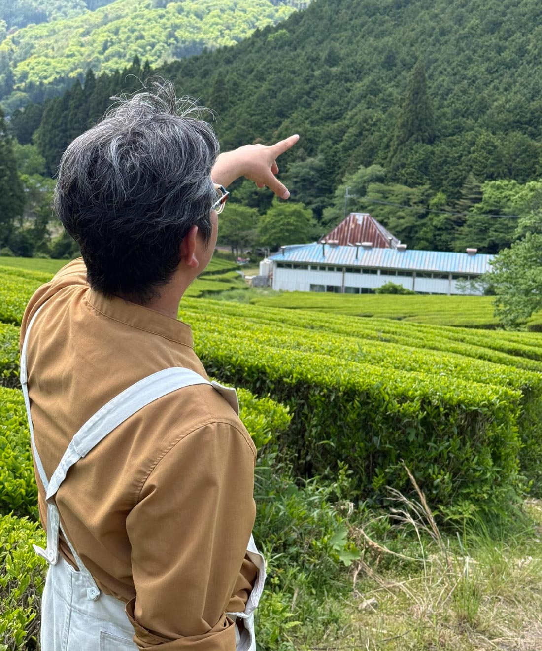 仙霊茶園